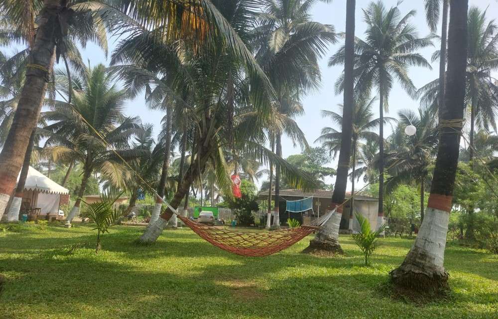 Blue Coast Beach Resort